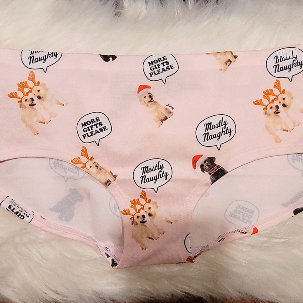 🎀 Brand New Victoria Secrets/ PINK hipster panty